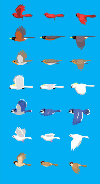 Various Bird Flying Sequence Cute Cartoon Vector Illustration Set 3