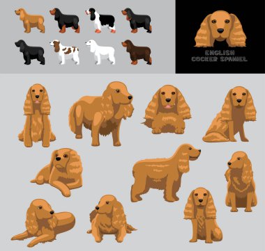 Dog English Cocker Spaniel Çizgi film Vektör Görüntü Renk Değişikliği Ayarları