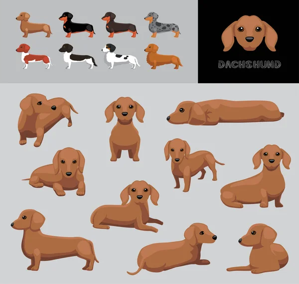 Dog Dachshund การ นเวกเตอร ภาพประกอบส — ภาพเวกเตอร์สต็อก