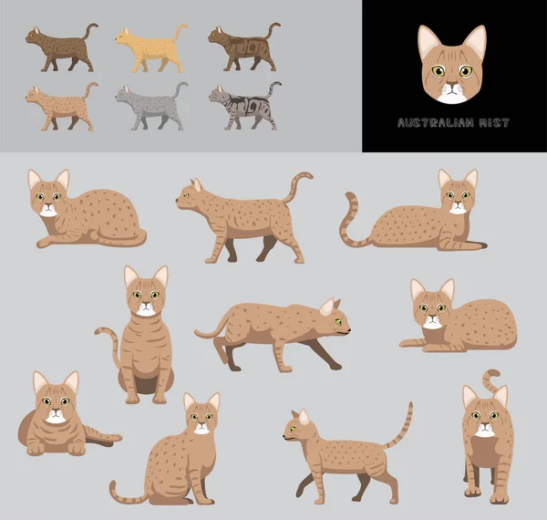 Cat Australian Mist Cartoon Vector Illustration Color Variation Set — Stock Vector