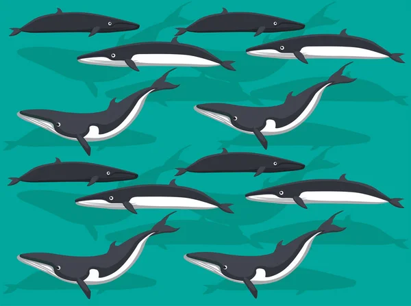 Φάλαινα Omura Χωρίς Ραφή Φόντο Ταπετσαρία — Διανυσματικό Αρχείο