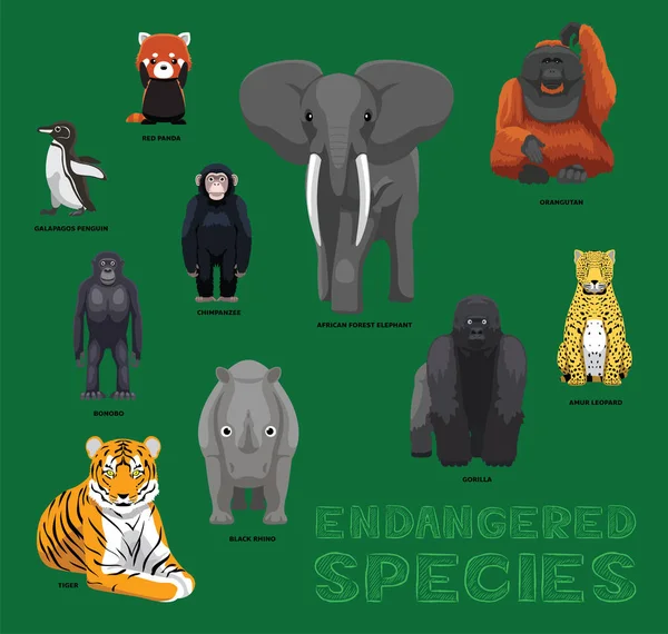 Mammal Birds Endangered Species Cartoon Animal Cute Vector Illustration — Stock Vector