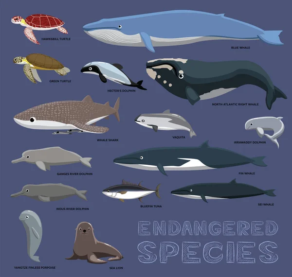海と川の絶滅危惧種漫画動物かわいいベクトルイラスト — ストックベクタ