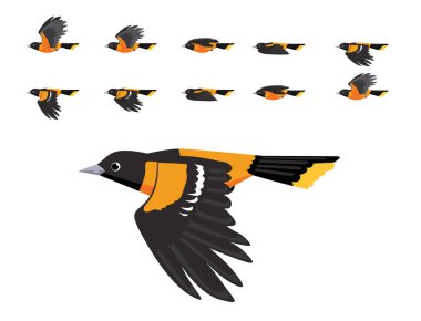 Baltimore Oriole Uçan Animasyon Sevimli Çizgi Film Vektör İllüstrasyonu