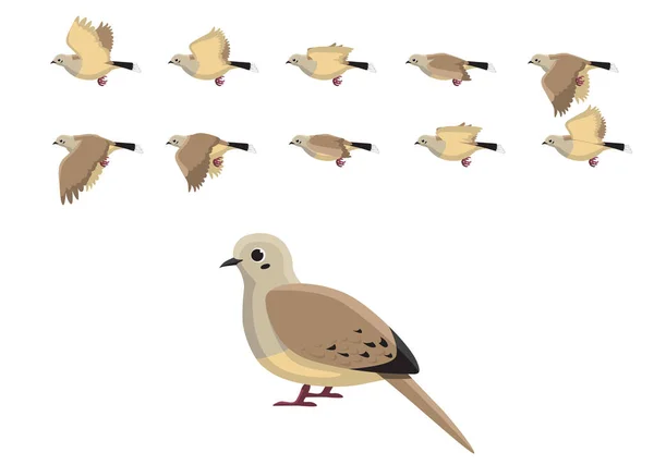 Mourning Dove Flying Motion Sequência Animação Cartoon Vector Ilustração —  Vetores de Stock