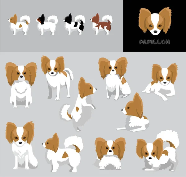 Dog Papillon Мультфільм Векторні Ілюстрації Кольорові Варіації Набір — стоковий вектор