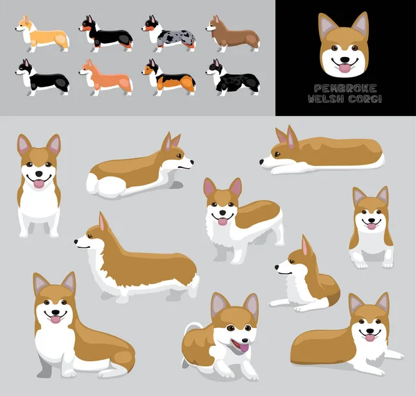 Pembroke Welsh Corgi การ นเวกเตอร ภาพประกอบส — ภาพเวกเตอร์สต็อก