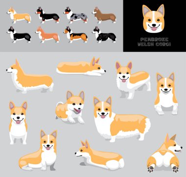 Dog Pembroke Galsh Corgi Fawn Coat Çizgi Film Vektör Renk Çeşitlemesi