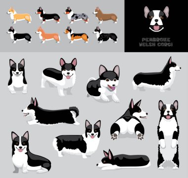 Dog Pembroke Galsh Corgi Siyah Ceket Çizgi Film Vektör Çizim Rengi Çeşitlendirme Seti