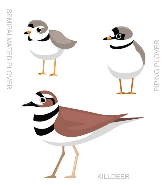 Cute Bird Plover Killdeer Set Vector Dibujos Animados — Archivo Imágenes Vectoriales