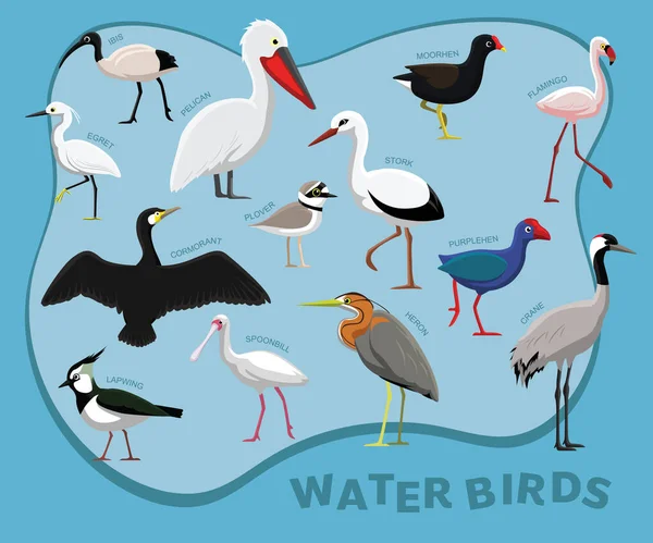 Lindo Pájaro Agua Conjunto Dibujos Animados Vector — Archivo Imágenes Vectoriales