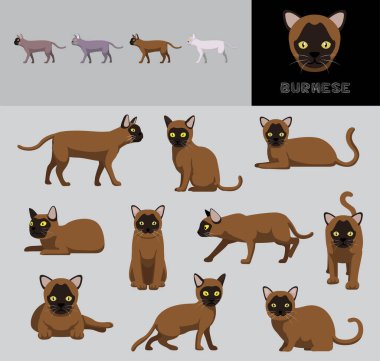 Kedi Burma Çizgi Filmi Vektör Resimlendirme Renk Değişikliği Ayarları