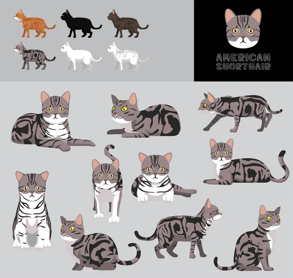 Cat American Shorthair Cartoon Vector Illustration Color Variation Set — Vettoriale Stock