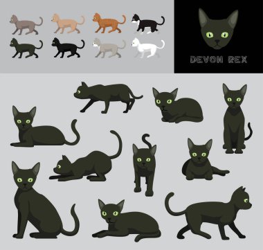 Cat Devon Rex Çizgi Film Vektör Resimleri Renk Değişikliği Ayarları