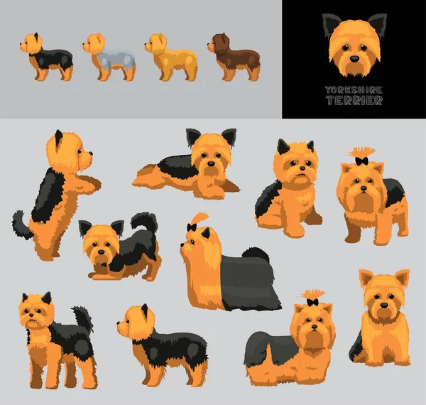 Yorkshire Terrier การ นเวกเตอร ภาพประกอบส — ภาพเวกเตอร์สต็อก