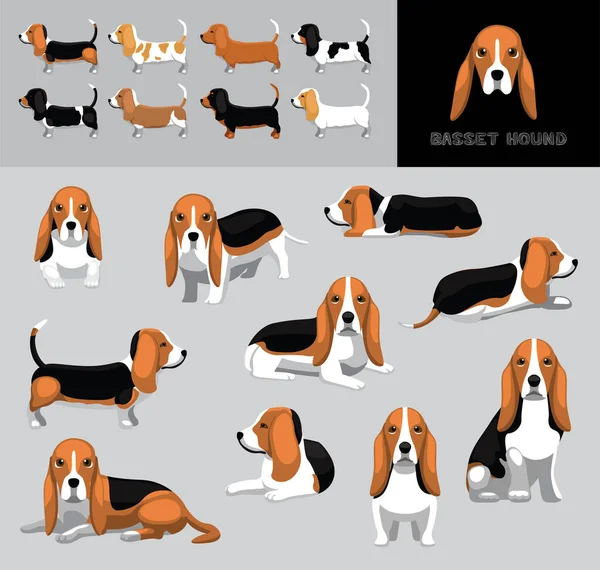 Dog Basset Hound การ นเวกเตอร ภาพประกอบส — ภาพเวกเตอร์สต็อก