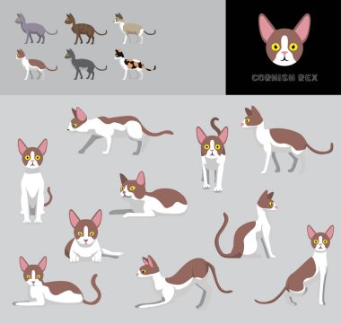 Cat Cornish Rex Çizgi Film Vektör Resimlendirme Renk Değişikliği Ayarları
