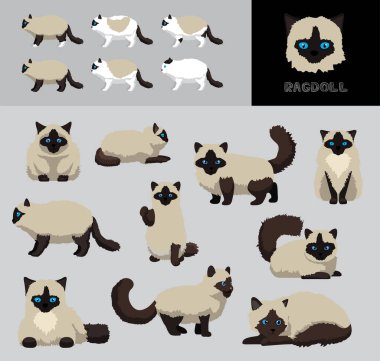 Kedi Bezi Çizgi Filmi Vektör Çizim Rengi Değişikliği Ayarları