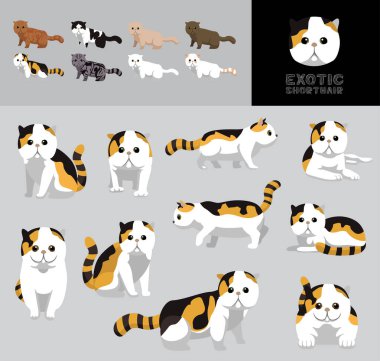 Kedi Egzotik Kısa Hava Çizgi Filmi Vektör Gösterimi Renk Değişikliği Ayarları