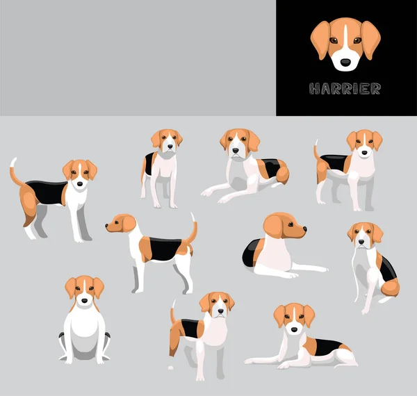 Dog Harrier Cartoon Vector Illustration Color Variation Set — 스톡 벡터