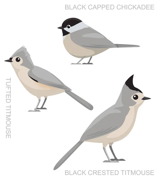 Cute Bird Titmouse Set Cartoon Vector — Vettoriale Stock