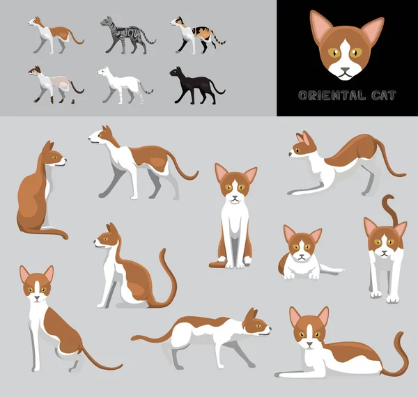 Cat Oriental Cartoon Vector Illustration Set Variazioni Colore — Vettoriale Stock