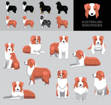 Köpek Avustralya Çoban Filmi Vektör Resimlendirme Renk Çeşitlendirme Kümesi