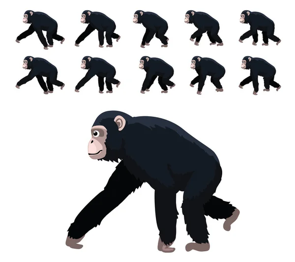 Animal Animation Primate Ape Chimpanzee Moves Frame Sequence Cute Cartoon — Stock Vector