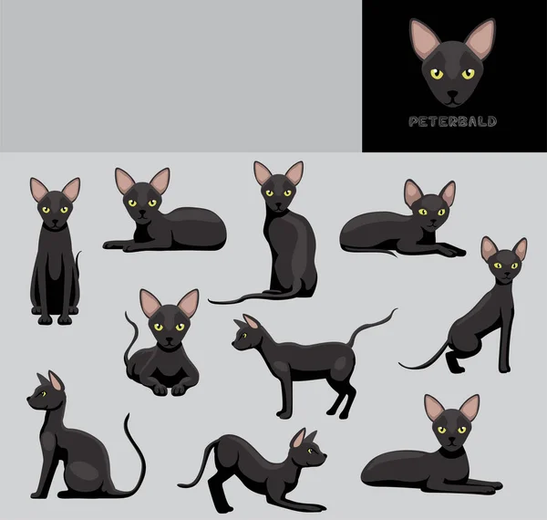 Set Variación Color Ilustración Vectores Dibujos Animados Gato Peterbald — Archivo Imágenes Vectoriales
