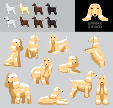 Köpek Afgan Tazısı Çizgi Film Vektör Resimlendirme Renk Değişikliği Ayarları