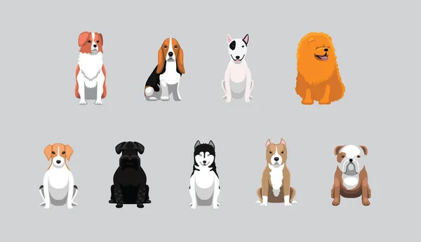 미디엄 Dog Medium Size Breeds Sitting Cartoon Vector Illustration Set — 스톡 벡터