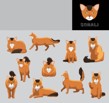 Kedi Somali Çizgi Film Vektör Çizim Rengi Değişikliği Ayarları