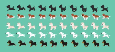 Köpek Rottweiler Saluki Standart Fino Büyük Dane Saint Bernard Yürüyen Çizgi film Vektörü Set