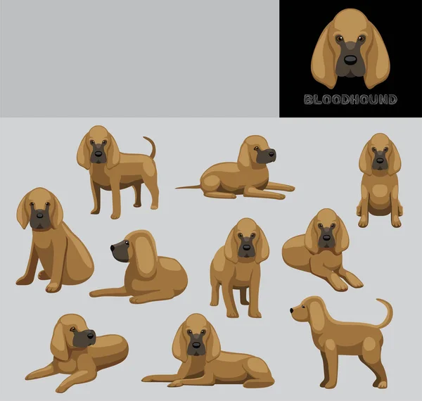 Dog Bloodhound Cartoon Vector Illustration Color Variation Set — Stockový vektor