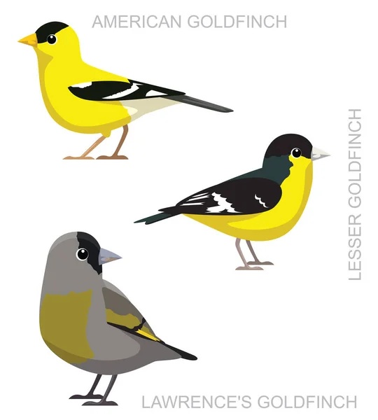 Cute Bird American Goldfinch Set Cartoon Vector — 스톡 벡터