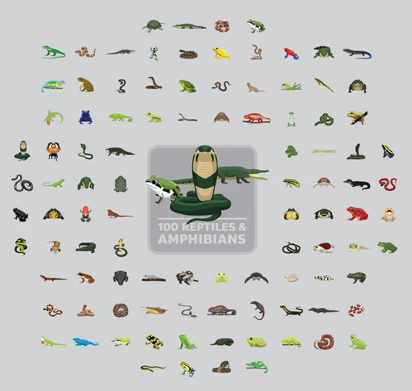 Cent Reptiles Amphibiens Cartoon Vector Illustration Set — Image vectorielle