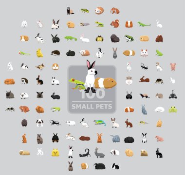 One Hundred Small Pets Cartoon Vector Illustration Set clipart