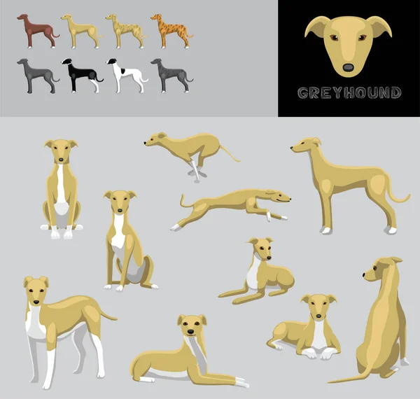 Dog Greyhound Cartoon Vector Illustration Color Variation Set — Stockový vektor