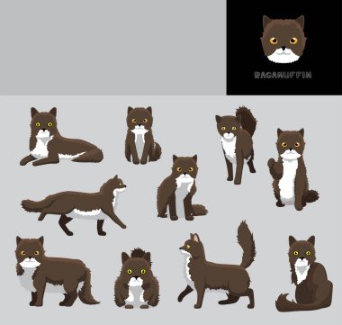 Kedi Ragamuffin Çizgi Film Vektör Çizim Rengi Çeşitlemesi