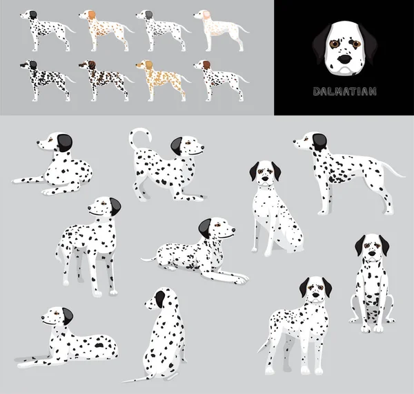 Cão Dalmatian Cartoon Vector Ilustração Cor Variação Set —  Vetores de Stock