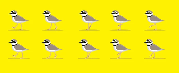 Animal Animation Sequence Bird Plover Walking Cartoon Vector — Stock Vector