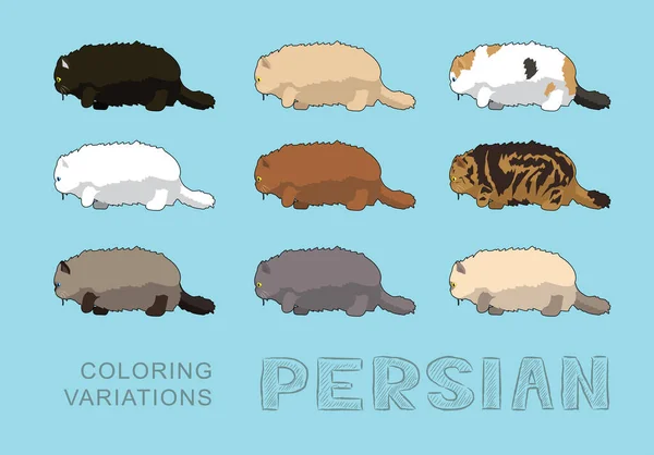 Illustrazione Vettoriale Delle Variazioni Colorazione Persiana Del Gatto — Vettoriale Stock