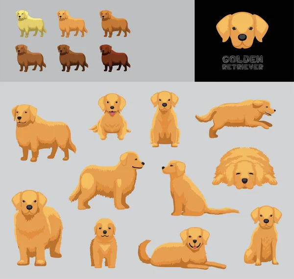 Dog Golden Retriever Cartoon Vector Illustration Color Variation Set — Stockový vektor