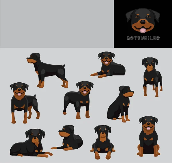 Rottweiler การ นเวกเตอร ภาพประกอบช — ภาพเวกเตอร์สต็อก