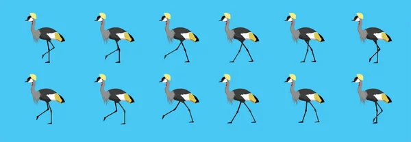 Grå Kronkran Vandring Rörelse Animation Sekvens Tecknad Vektor Illustration — Stock vektor