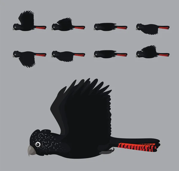 Red Tailed Black Cockatoo Flying Animation Sequence Cartoon Vector — Stockový vektor