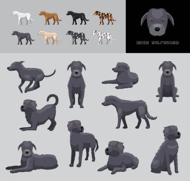 Dog Irish Wolfhound Çizgi Film Vektör Resimleri Renk Değişikliği Ayarları
