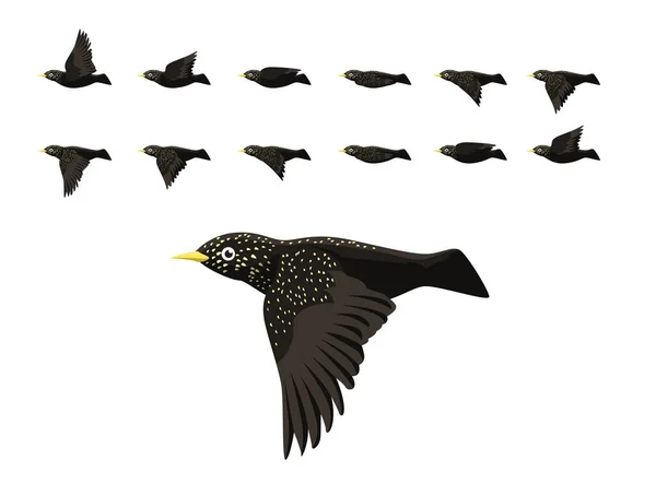 Animation Common Starling Flying Cute Cartoon Vector Illustration — Stock Vector