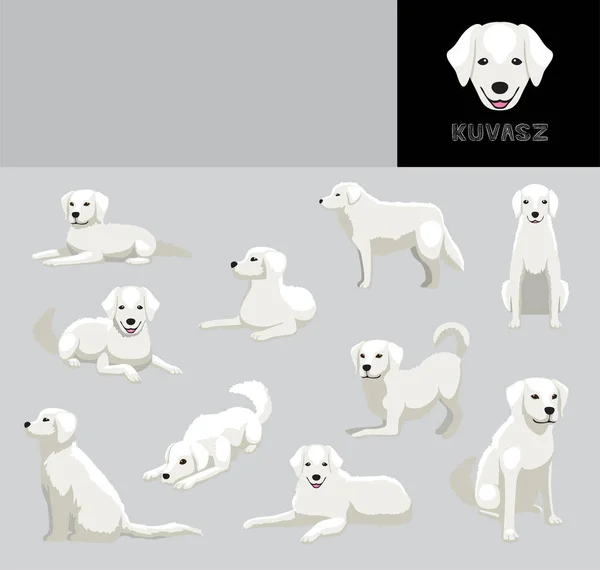 Dog Kuvasz Cartoon Vector Illustration Color Variation Set —  Vetores de Stock