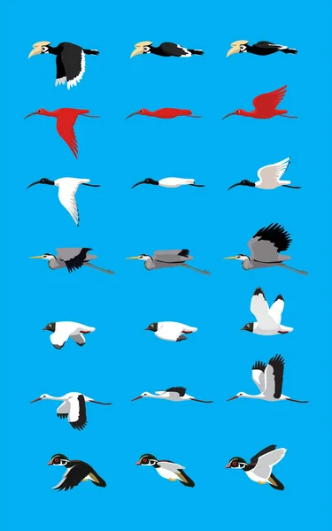 Various Bird Flying Sequence Cute Cartoon Vector Illustration Set Hornbill — ストックベクタ